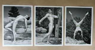 Western Photography Guild,  3 Male Nude Prints,  Posing Strap Era,  Gay Interest
