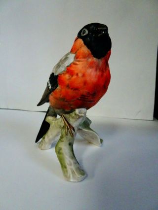 Goebel Bird Figurine Robin On Branch 38145.  11 Black Head Red Breast