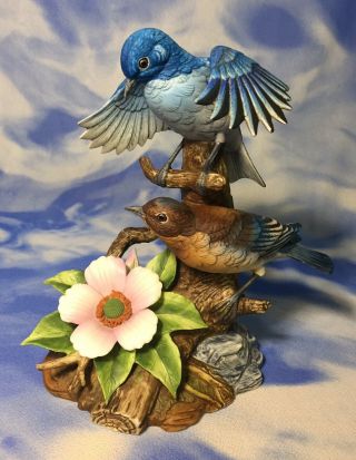 Htf 7 " Andrea By Sadek " Mountain Bluebirds " Porcelain Birds Figurine 6890 Euc