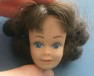 Vintage 1962 Brunette Midge Doll - Head Only
