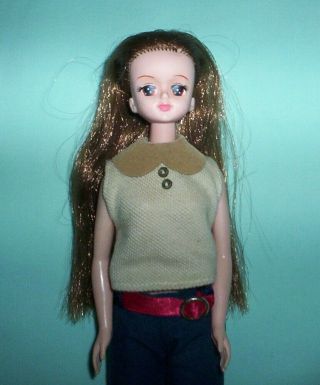 Mimi World Korean Barbie Takara Style Doll Brown Hair