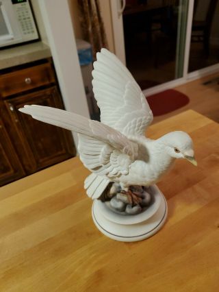 Vintage Andrea By Sadek,  White Dove Figurine Porcelain Bird 8 " Tall
