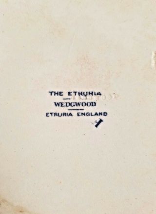 Antique Wedgwood THE ETRURIA 10 