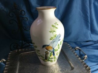 The Bluebirds Of Summer Rudiskill Franklin Porcelain Japan Vase 11 " Signed