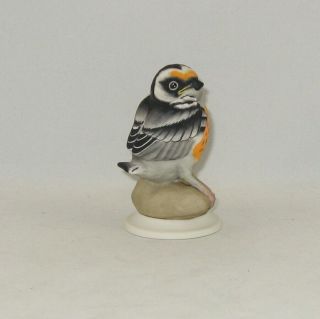 Boehm Porcelain Bird Sculpture " Fledgling Blackburnian Warbler " 473