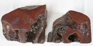 Unique Mid Century Vintage Sculptural Burl Wood Bookend Pair Rustic Natural