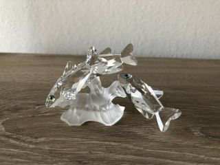 Swarovski Clear Crystal Signed Figurine “three South Sea” Fish With Frosted Base