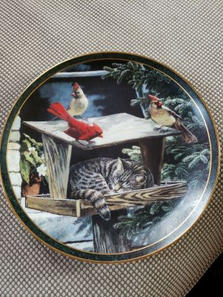Bradford Exchange " Cat Nap " 1st Issue Nosy Neighbors Cardinals Collector Plate