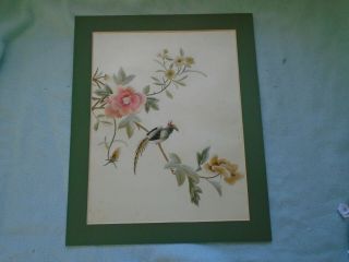 Ref 001 Chinese Fine Silk Embroidery Bird In Flora