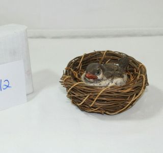 Vintage Keypoint Ceramic/porcelain Baby Bird In A Nest