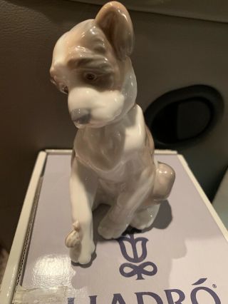 Lladro 6211 Friend Dog With Snail Figure Lladro Box