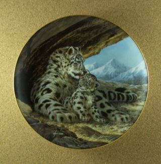 Last Of Their Kind Endangered Species The Snow Leopard Plate Will Nelson 2 Cat