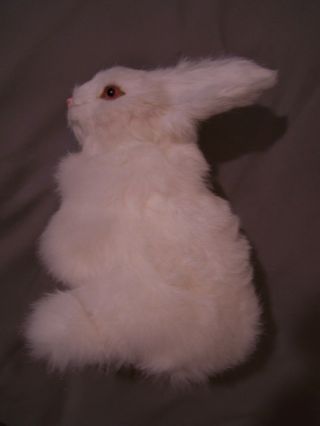Realistic Highly Detailed Rabbit Figure W/ Real Animal Hair 10  Long Animal