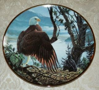Seasons Of The Bald Eagle Summer On The Seacoast Plate John Pitcher Hamilton
