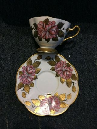 Rosina Tea Cup And Saucer Very Pretty Num 5199/r Bone China From England