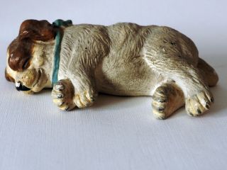 Antique Sleeping Dog Germany Bernard Spaniel Springer Terrier Puppy W Blue Bow