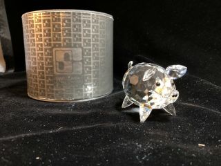 Swarovski - Silver Crystal,  Large Pig With Black Eyes Orig.  Box 7638 Nr 65