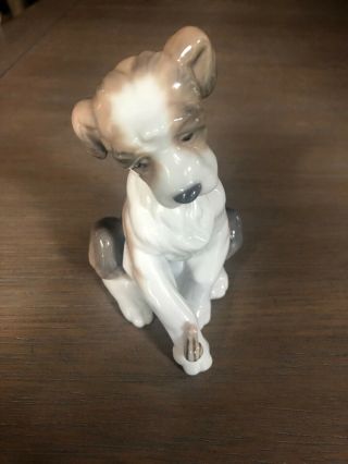 Lladro Puppy With Snail 6211 - Friend Issued 