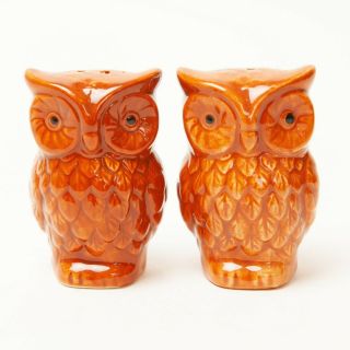 Owl Salt & Pepper Shakers Brown Ceramic Autumn Fall Table Decor