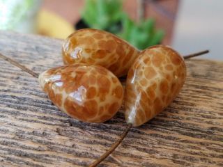 Butter Caramel Old Antique Lampwork Matrix Glass Embedded Wire Beads For Drops