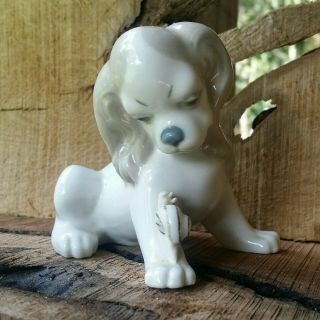 Lladro Dog With Snail " Friend " Figurine Glazed Spain Porcelain Pre - Owned