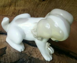 Lladro Dog With Snail 