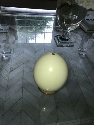 Ostrich Egg On Ring Stand Texture And Ivory Color