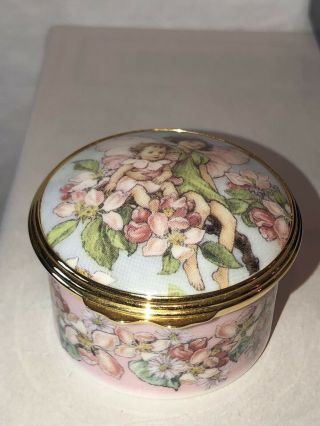 English Enamel Trinket Box 35 Royal Worcester Apple Blossom Fairies 6