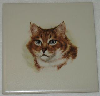Vtg Grayblue - Eyed Orange/white Cat 6 " Porcelain Accent Tile Made Usa Estate