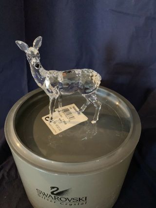 Swarovski Crystal Figurine Doe Deer Standing,  Chipped Ear