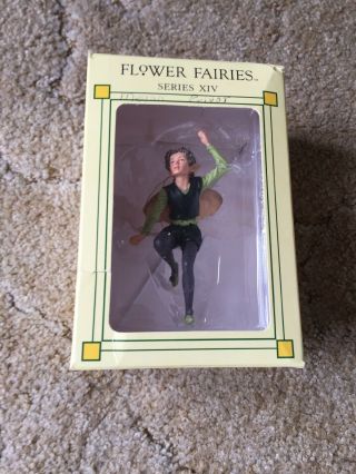 Cicely Mary Barker Flower Fairies Series Xiv Privet