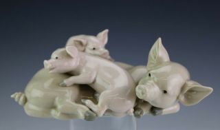 Retired Lladro Spain Playful Pig Piglets Family 5228 Porcelain Figurine Nr Sms