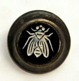 Antique Vtg Button Incised White Fly On Black Glass In Metal Silk Back 9/16