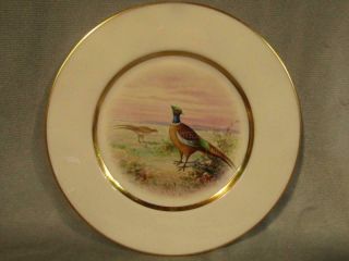 Vintage Lenox Hand Painted Porcelain Bird Plate " Pheasant " 10 Artist Nosek