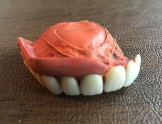 Vintage Authentic Dentures False Fake Upper Teeth