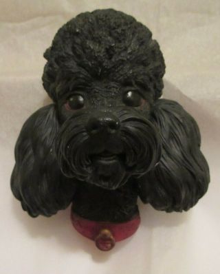 Vintage Bossons England Chalkware Black Poodle Dogs Of Distinction
