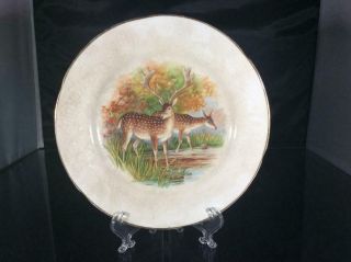 Antique Tst Latona Spotted Deer China Decorative Plate With Gold Trim