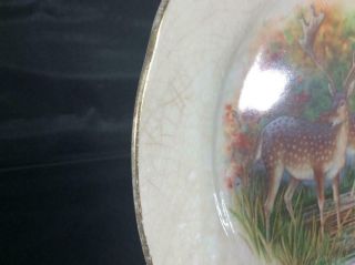 Antique TST Latona Spotted Deer China Decorative Plate with Gold Trim 3