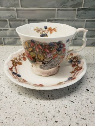 Royal Doulton Brambly Hedge Tea Cup And Saucer Autumn