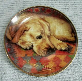 Old 2001 Sleepy Head Sueelen Rose Comforts Of Home Dog Collector Plate S/h