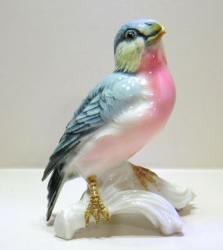 Karl Ens German Porcelain Small Finch Bird Figurine Made Circa 1919 - 1945
