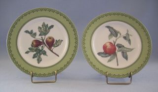 Winterthur Adaptation Salad Plates Set Of Two Fruit Fig Peach Andrea By Sadek