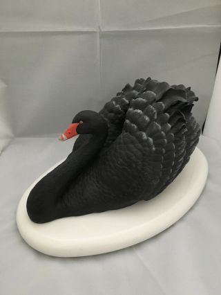 " The Black Australian Swan " By Ronald Van Ruyckevelt Made For The Franklin