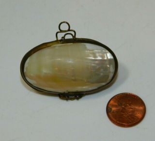 Polished White Mother of Pearl Dainty Sea Shell Brass Hinged Trinket Pill Box 2