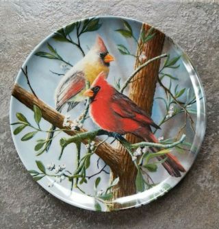 The Cardinal 1st Birds Of Your Garden 1985 Knowles Collector Plate Kevin Daniel