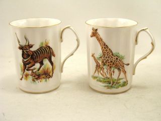Set Of 2 Royal Windsor Mugs Africa Animal Safari Giraffe And Bongo With Babies