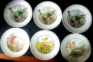 (6) Marjolein Bastin Wildflower Meadow 8 " Salad Dessert Plates