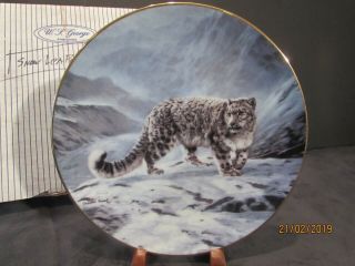 Snow Leopard Charles Frace 1991 " The World 