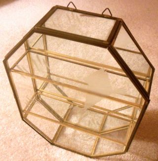 Vintage Octagonal Glass & Brass Curio Cabinet Shelf Etched Front Mirrored Back