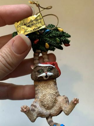 Comical Cat Ornament By Gary Patterson " Out On A Limb " Danbury